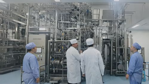 天鶩科技x金賽藥業 全球首款經大模型設計實現5000升工業化生產的蛋白質產品落地